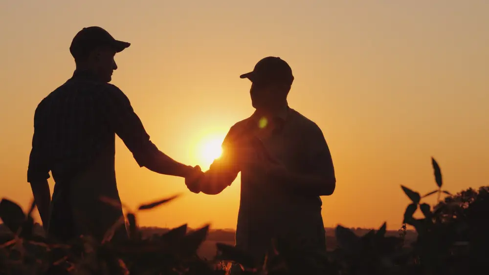 夕焼けの下で握手をする2人の男性の画像